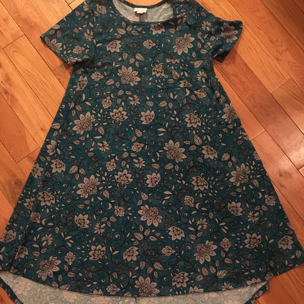 Lularoe XS Carly Swing Dress